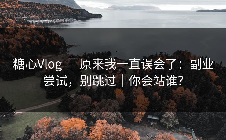 糖心Vlog ｜ 原来我一直误会了：副业尝试，别跳过｜你会站谁？