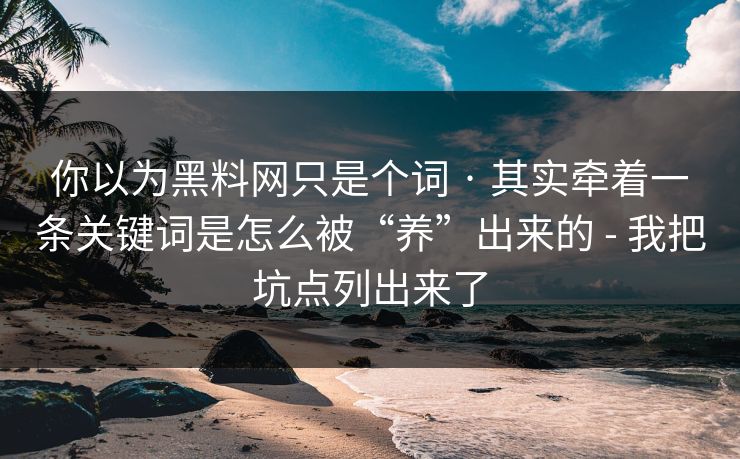 你以为黑料网只是个词 · 其实牵着一条关键词是怎么被“养”出来的 - 我把坑点列出来了 你以为黑料网只是个词 · 其实牵着一条关键词是怎么被“养”出来的 - 我把坑点列出来了